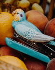 Blue budgerigar bird - Nach Bijoux