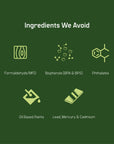 Surf Wagon - Candylab