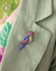 Anna's Hummingbird - Nach Bijoux