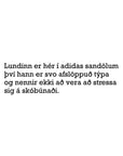 LUNDI - Ef ég væri fugl
