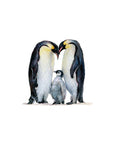 Emperor Penguins - Tattly