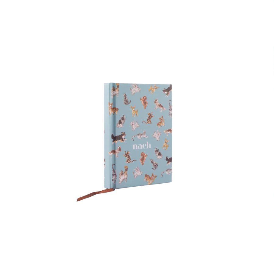 Like Cats and Dogs - Nach Bijoux