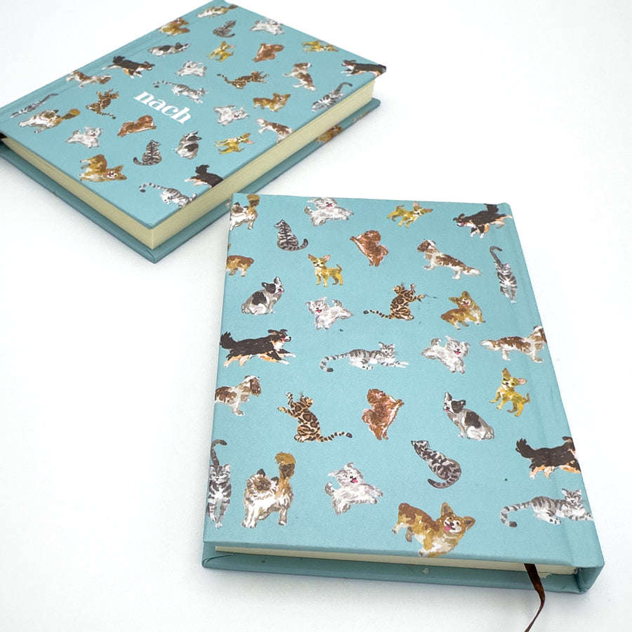 Like Cats and Dogs - Nach Bijoux