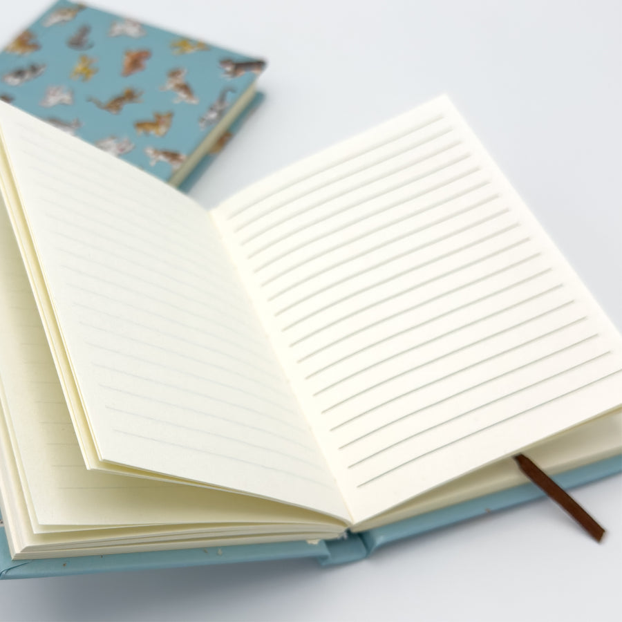 Like Cats and Dogs - Nach Bijoux