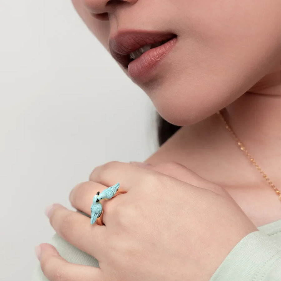 Blue Warblers FaceToFace - Nach Bijoux