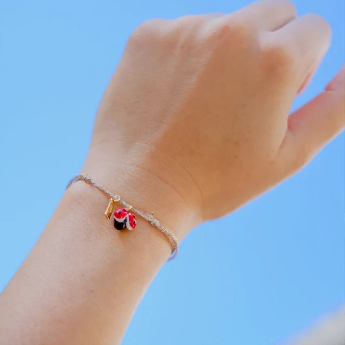 Ladybug Charm´s - Nach Bijoux