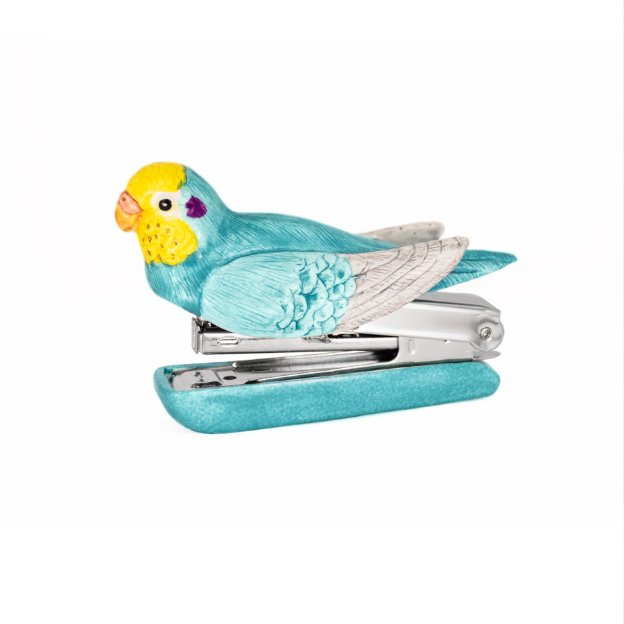 Blue budgerigar bird - Nach Bijoux