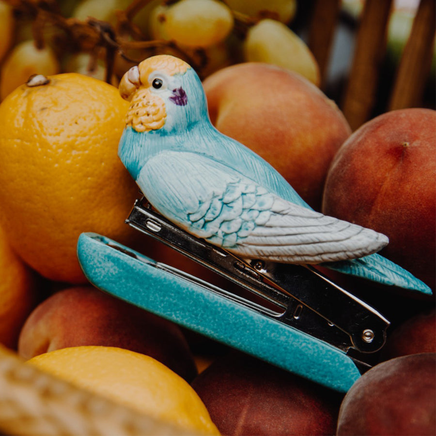 Blue budgerigar bird - Nach Bijoux