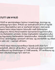 Saga um Þykjó - Þykjó hönnunarteymi