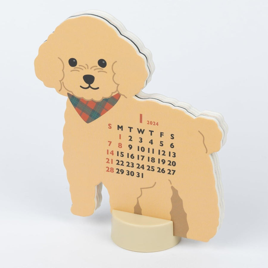Toy Poodle Calendar mini 2024 - Greeting Life