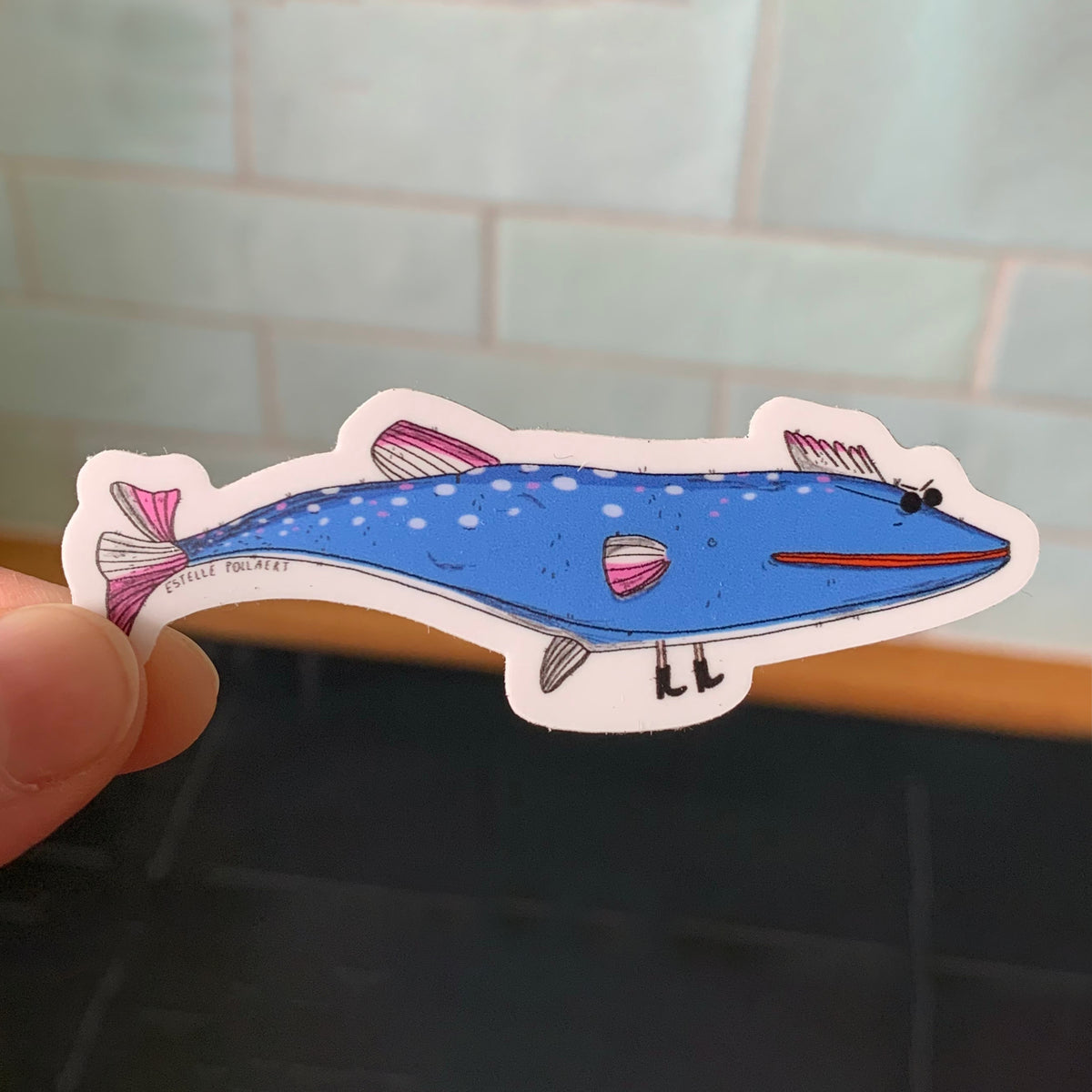 New fish - Límmiði