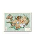 Skólakort - Maps of Iceland
