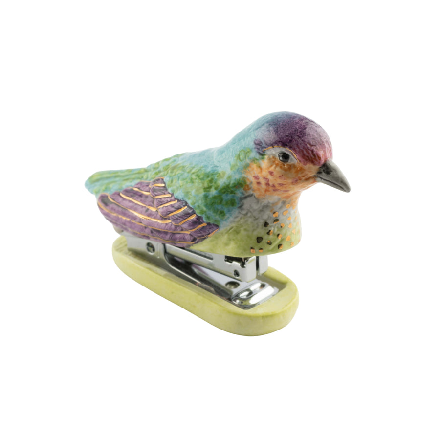 Anna's Hummingbird - Nach Bijoux