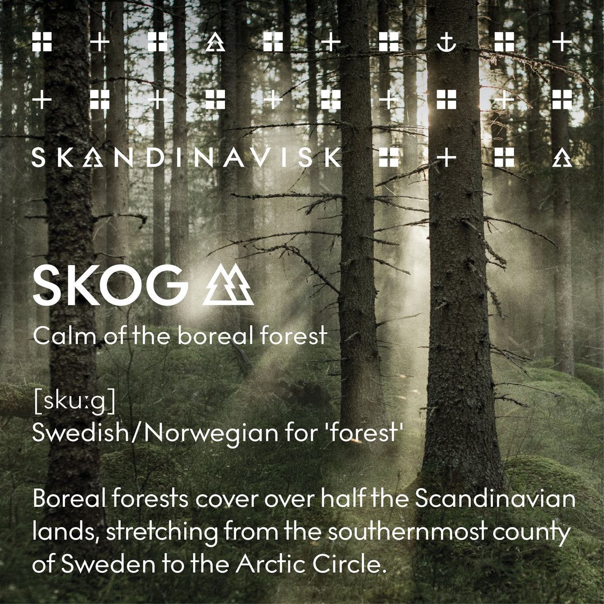 MINI SKOG - 30 ml. handáburður
