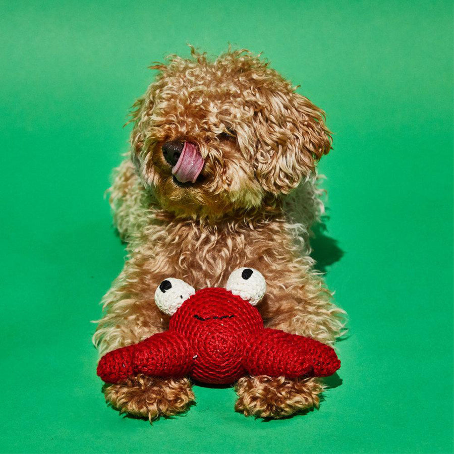 Krabbi - Ware of the Dog