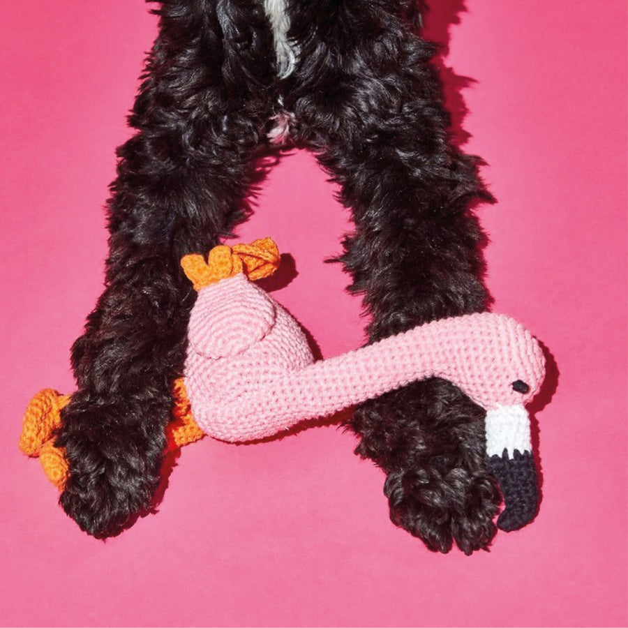 Flamingó - Ware of the Dog
