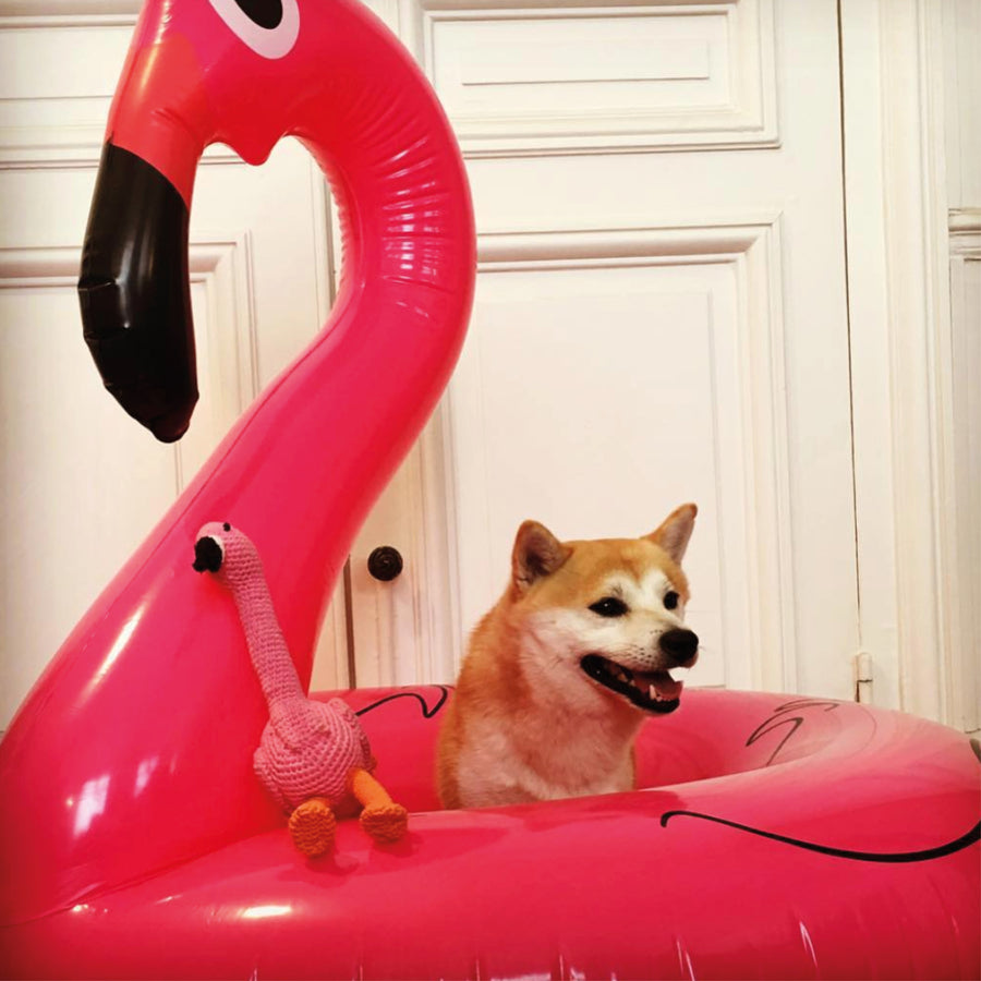 Flamingó - Ware of the Dog
