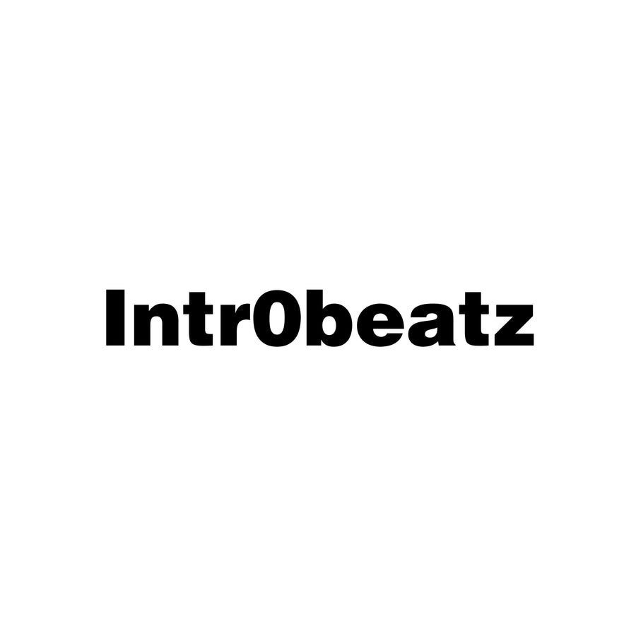 Local Fryer EP - Intr0beatz