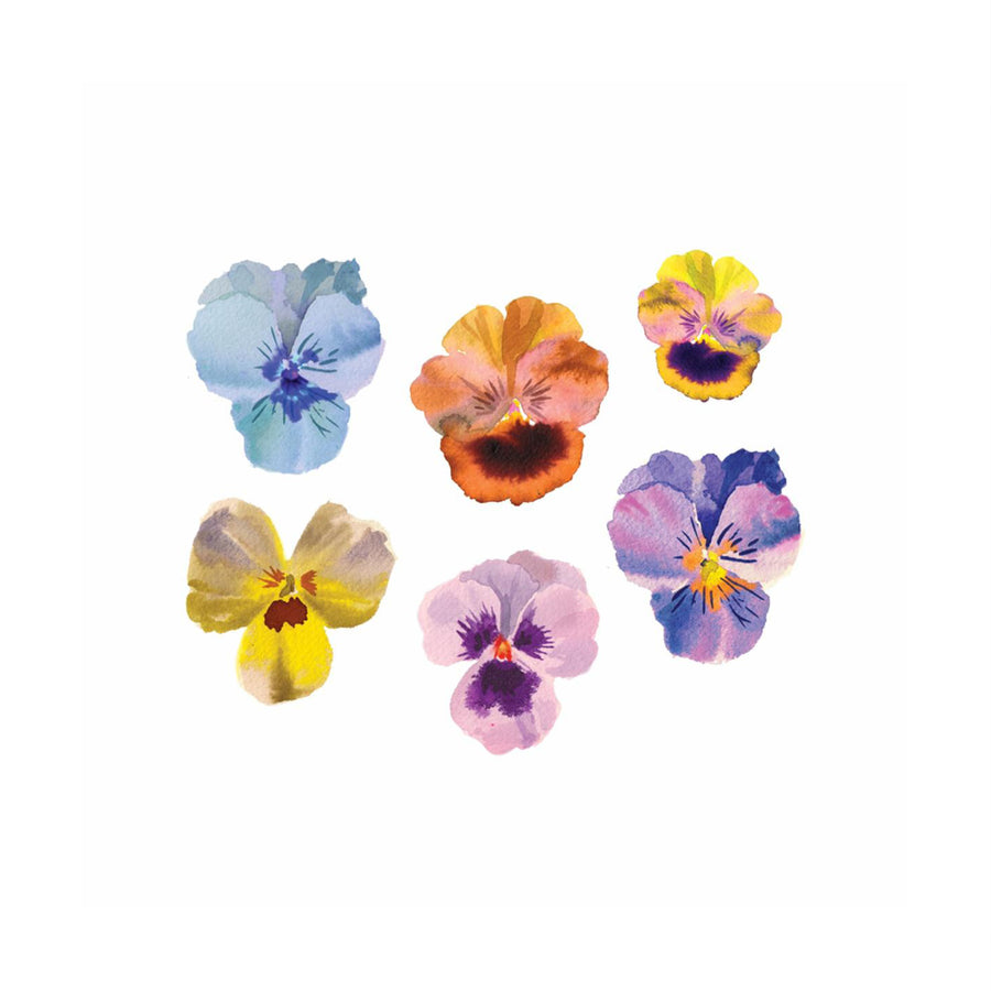 Pansies - Tattly