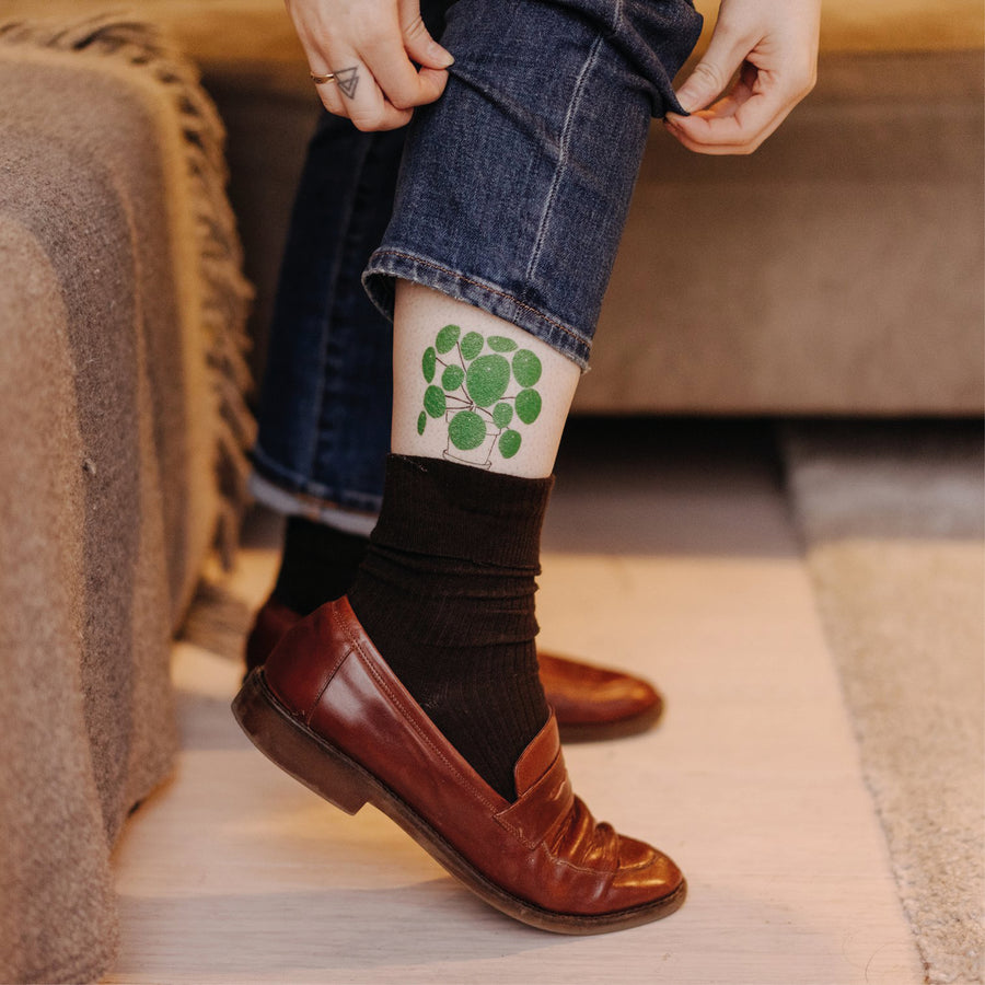 Pilea Plant - Tattly