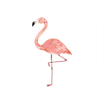 Flamingo - Tattly