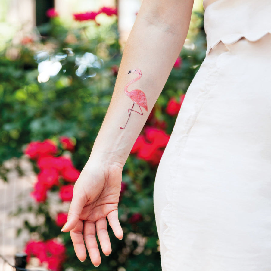 Flamingo - Tattly