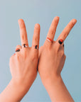 Sushi Platter - Tattly