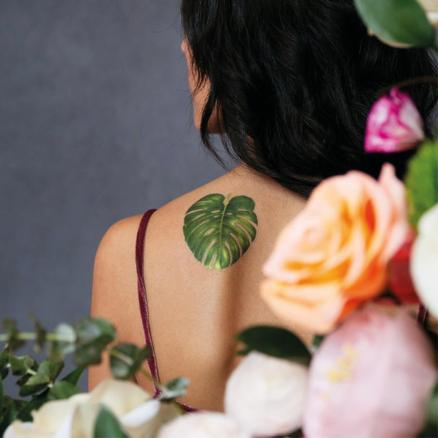 Philodendron Monstera - Tattly