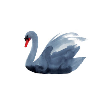 Black Swan - Tattly