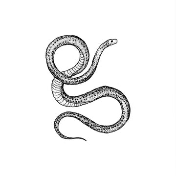 Serpent - Tattly