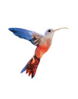 Watercolor Hummingbird - Tattly