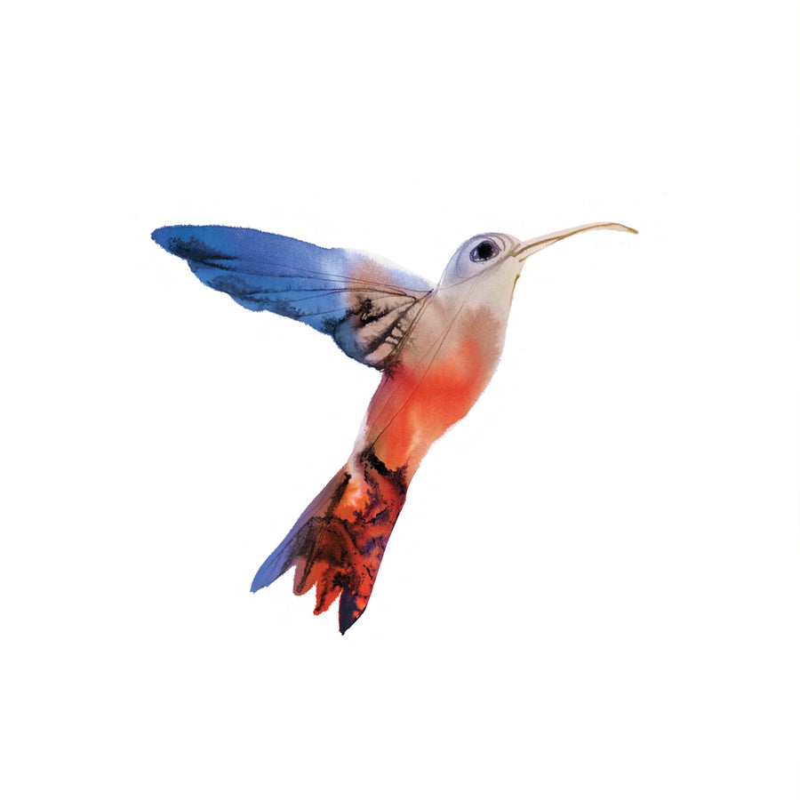Watercolor Hummingbird - Tattly